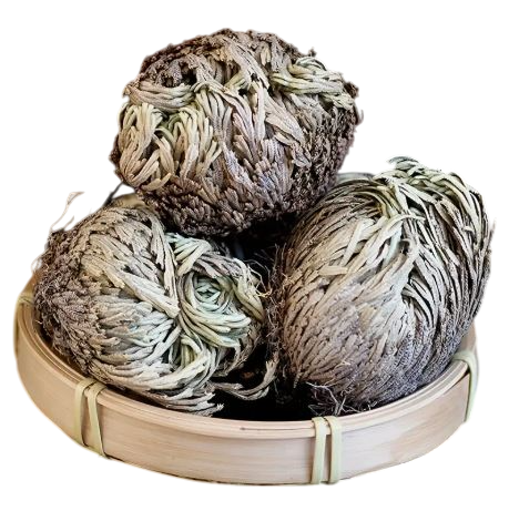 Rose Of Jericho Dried Plants - Rosa De Jerico Original, Dried Fern Like Scale Leaf- 1 Pc