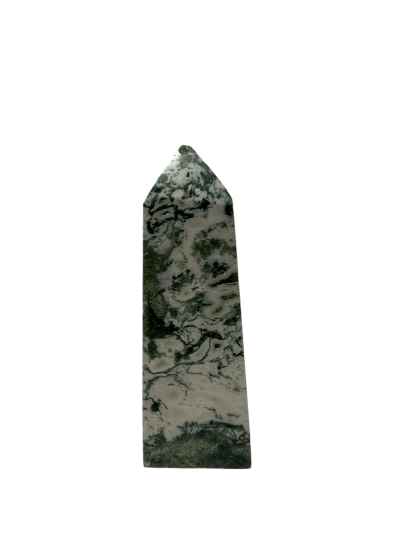 Tree Agate Tower .25kg