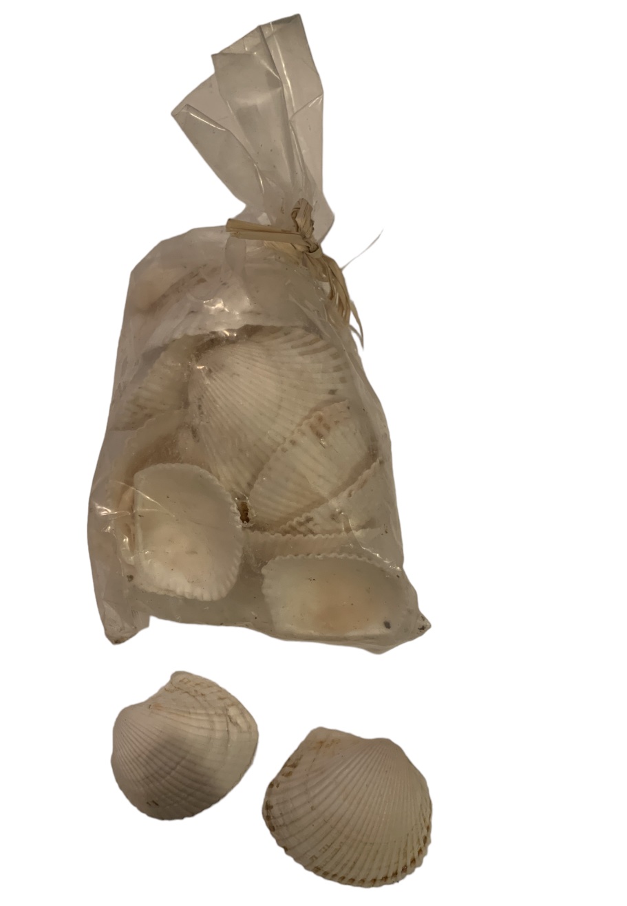 Decorative shells 8.8 oz